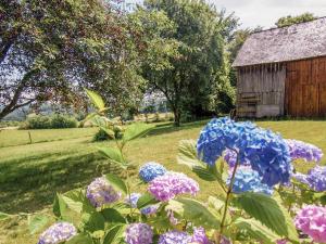 Maisons de vacances Welcoming cottage in Savignac L drier with garden : photos des chambres