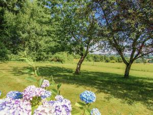 Maisons de vacances Welcoming cottage in Savignac L drier with garden : photos des chambres