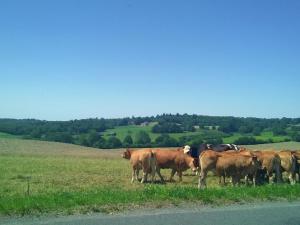 Maisons de vacances Welcoming cottage in Savignac L drier with garden : photos des chambres