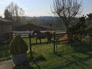 Maisons de vacances La Chevalerie : photos des chambres