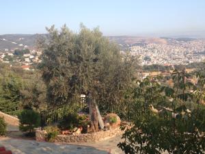 PANORAMA MYTILINIS Lesvos Greece