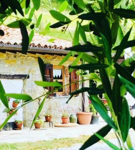 La Petriola Casa Vacanze