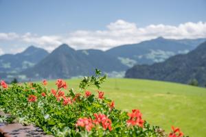 Gasthof und Hotel Rieder GmbH