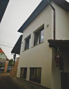 Vila Lion