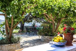 Villa Driades Skopelos Greece