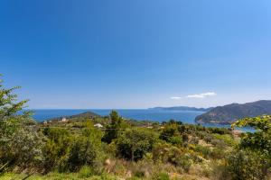 Villa Driades Skopelos Greece