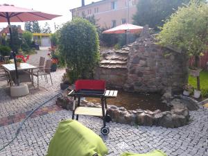 Willa Cosmos & Champion