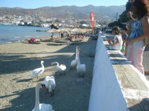 House by the sea Andros Greece