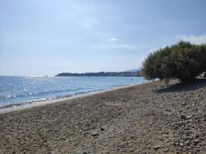 Neva Apartments by the Beach