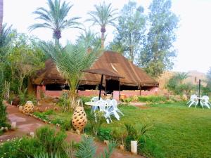 Paradise in the southern desert Morocco