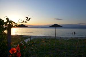 Blue Breeze Thassos Greece