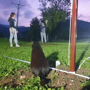 Domaćinstvo Filipović