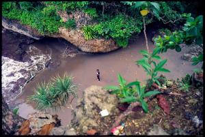 BK Homestay, Batukaras