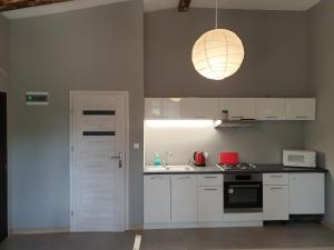 Apartament pod Sosnami 2 noclegi OTW Borówno WLK Skarszewy