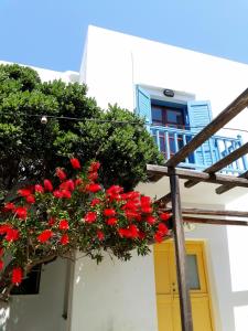 Hotel Boulis Sifnos Greece