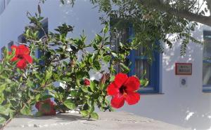 Hotel Boulis Sifnos Greece