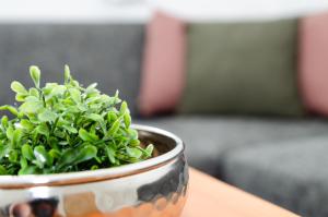 Apartment Mayerhofer