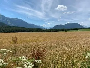 Ferienwohnung am Bauernhof - تيلفس