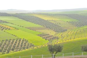 Terre De Traces Ecolodge