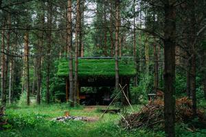 Glamping Drzwi Do Lasu