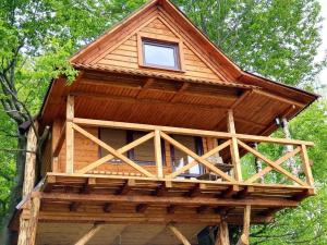 Holiday Home room in Rakhiv Plai