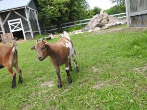 Gospodarstwo Kaczynski Ostrołęka