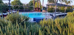 Double Room room in B&B Lu Casale