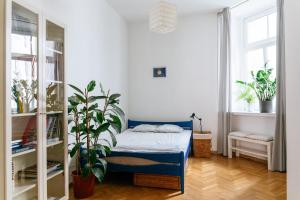Comfortable & Spacious Lodz City Center Apartment