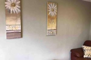 Bangor Home from Home 2bed house