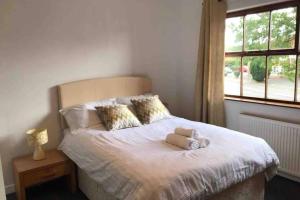 Bangor Home from Home 2bed house