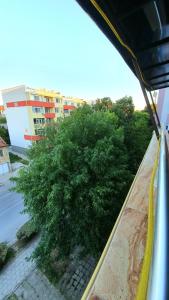 Апартамент за гости"Вълчанови"