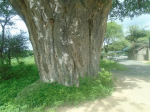 Themi Valley Eco and Cultural Tourism Homestay