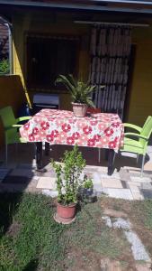 Quadruple Room with Bathroom room in kolonia e artistave