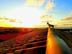 Agriturismo El Bounty1 - Vallebrón