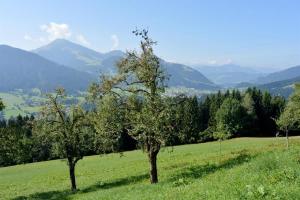 Apartement Vorderlaiming