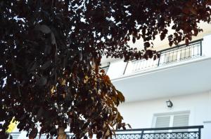 Paradise Beach Apartments