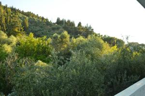 Paradise Beach Apartments