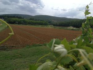 CLAUDIA VACANZA TOSCANA - Appartamento Melograno -10 min da Siena