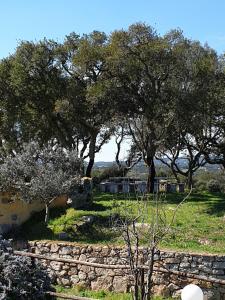 Cantina Perandria img18