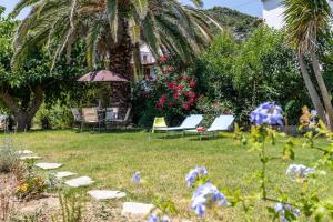Myrto Holiday House Skopelos Greece