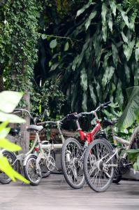Kireethara Boutique Resort