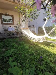 Apartments Coso Zlatne njive bb