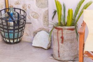 Tholos Home