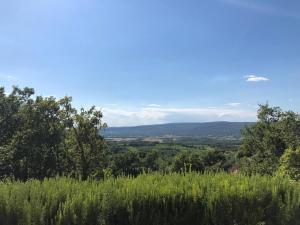 Appartements Gite Roussillon dame Sirmonde : photos des chambres