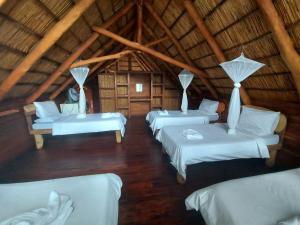 East Africa Safaris