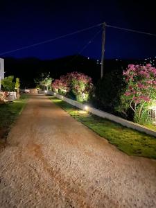 Spanos Apartments Andros Greece