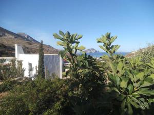 Villa Handras, 2 unità Amorgos Greece