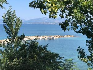 Citrus Apartments Epirus Greece