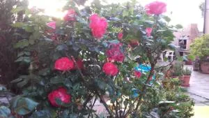 Corte Mannoni - San Pasquale