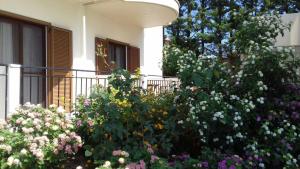 Studio with Garden View